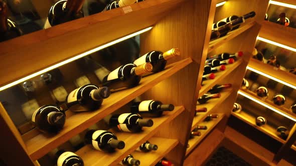 Wine Cabinet with collection wines