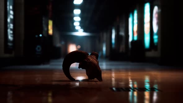 Old Ram Skull in Underground Subway