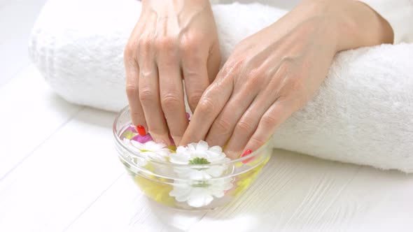 Hands in Bowl with Chrysanthemums.