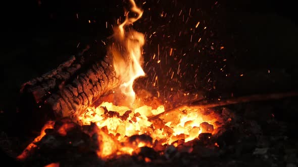 Magic Hearth Fire with a Tongue Looking Like a Spirit of an Animal in a Smithy 