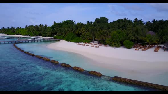 Aerial flying over landscape of exotic coast beach wildlife by blue ocean with white sand background