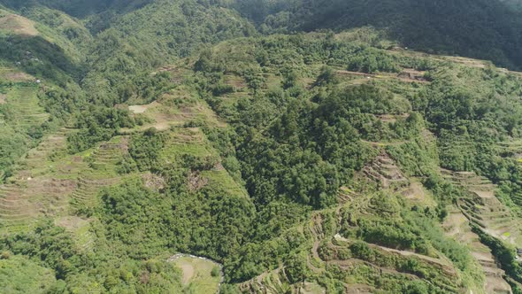 Rice Terraces in the Mountains. Philippines, Batad, Banaue