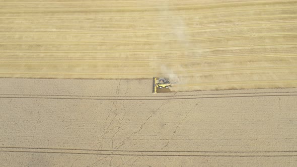 Aerial shot of combine harvester machine harvesting wheat