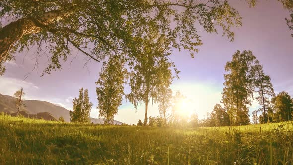 Mountain Meadow Timelapse at the Summer or Autumn Time