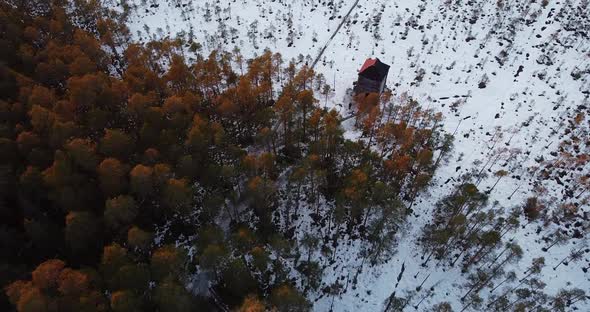 Flying Over Forest with Sunshine Colors and a Little Log House