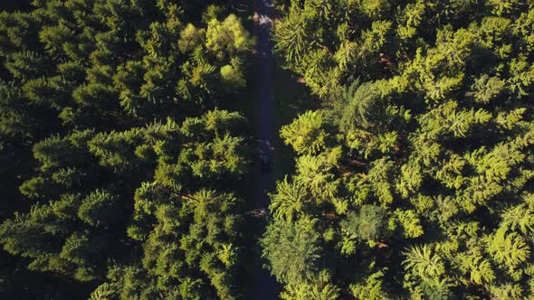 AERIAL: Birdsview on Forest Road with Car, Sunshine, Germany 