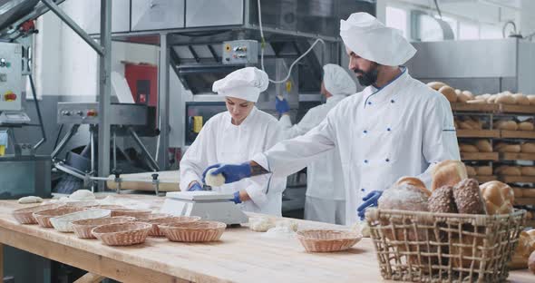 Baking Industry Three Professional Bakers Working