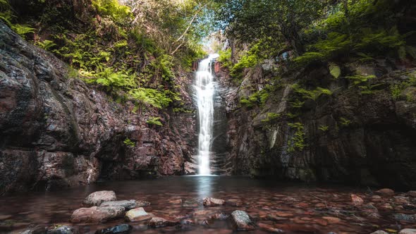 Close-up of a waterfall in the middle of a forest