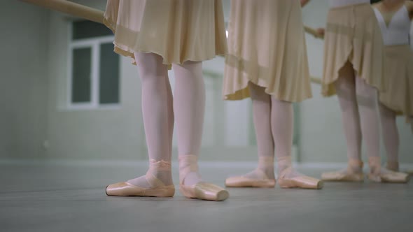 Side Angle View Row of Unrecognizable Slim Graceful Ballerinas Performing Tendu Simultaneously at