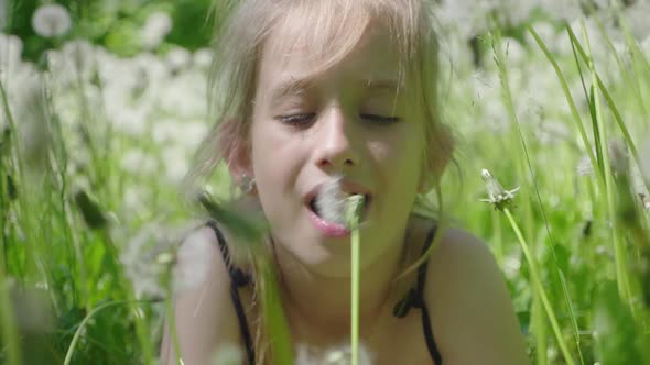 Spring Joy - Lovely Girl Blowing Dandelion