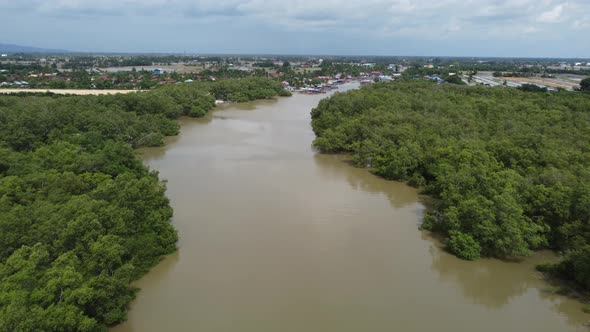 Aerial view mangrove forest near jetty