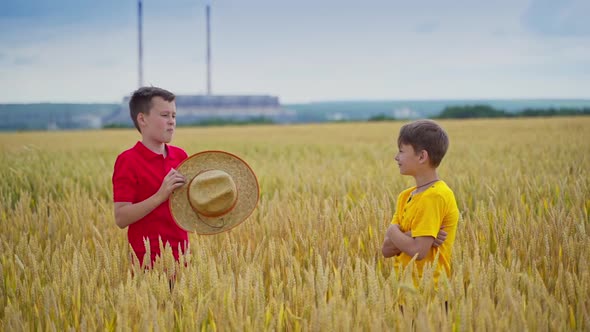 Two boys stand in the wheat field on the rural place background