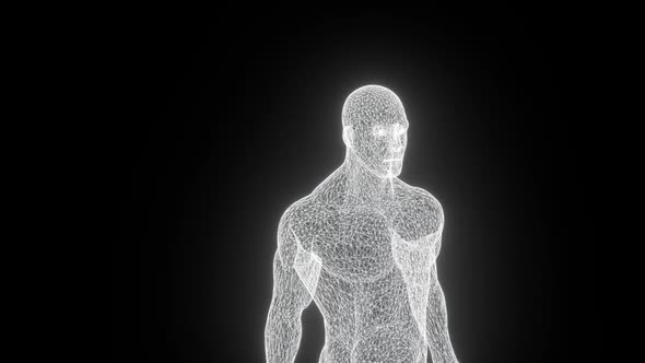 The Human Body Is Modeled of Lines