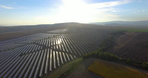 Sun reflected in solar farm panels