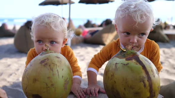 Two Twin Toddlers Enjoying Drinking Fresh Coconut on the Sunny Beach with Straw Umbrellas and Ocean
