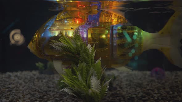 Fish Robot Swims in the Aquarium