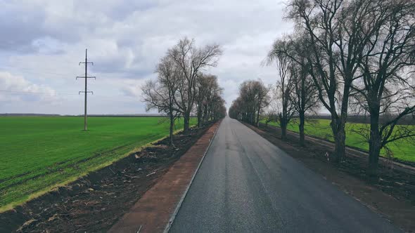 New Asphalt Road Near Green Field and Trees on Spring
