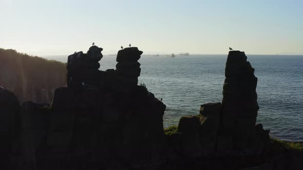 A Bird's Market on a Rocky Ledge in the Shape of Fingers on the Seashore