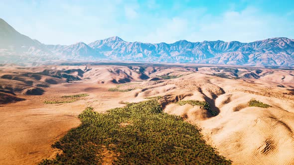 Wide View of California Desert