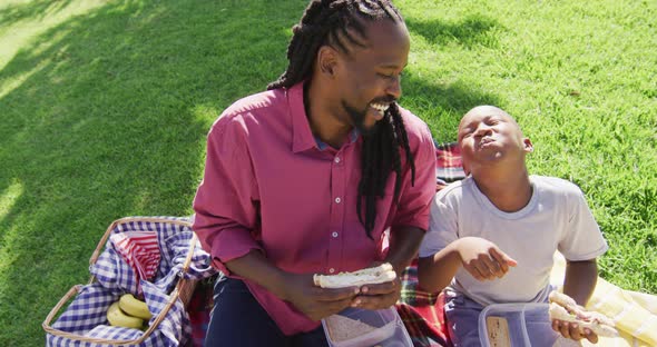 Video of happy african american father and son having picnic outdoors on sunny day