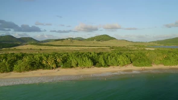 Aerial of green trees and landscape along beautiful sea