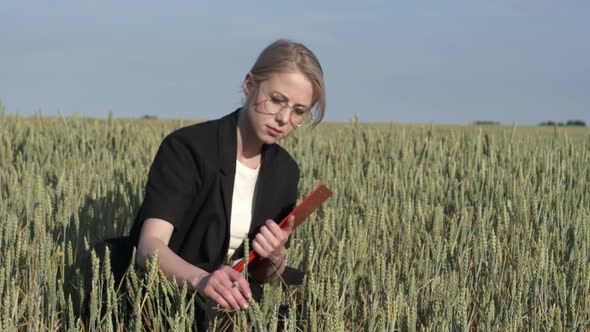 employee of an agricultural firm with notebook checks the quality of wheat in the field