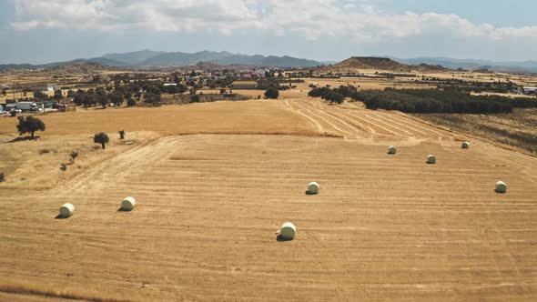 Aerial Agriculture Drone Flight Over Yellow Wheat Field