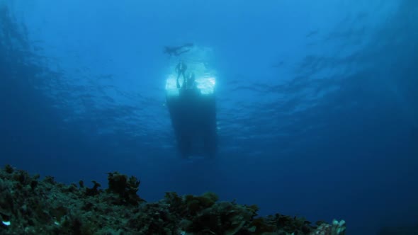 Looking up at a boat with swimmers from the bottom of the ocean