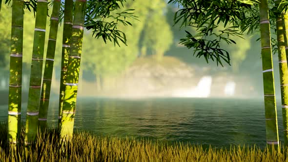 Bamboo Forest with Morning Sunlight alt