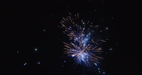 Colorful fireworks dyeing the night sky