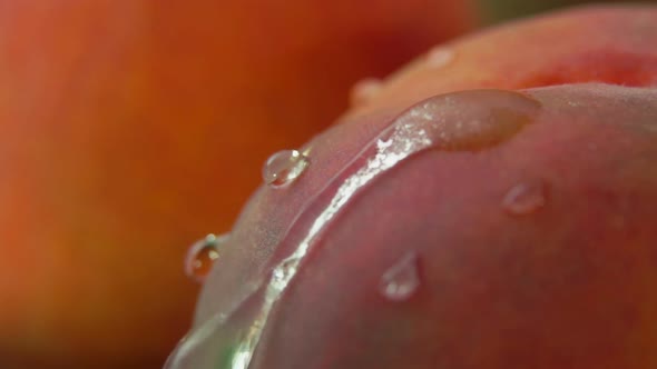 Closeup of the Shining Drop of Water Flowing Down the Surface of a Ripe Peach
