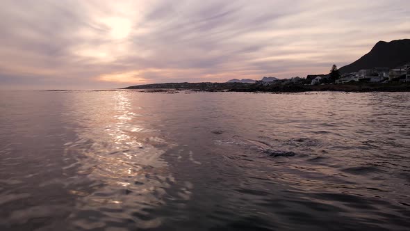 Drone view of massive rotund body of Southern Right whale, reflected in sunset