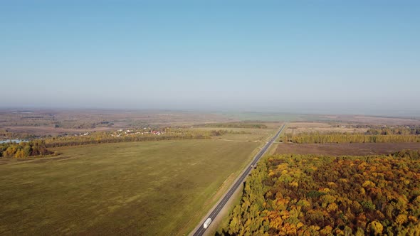 Golden Autumn Sunny Weather Forest Belt