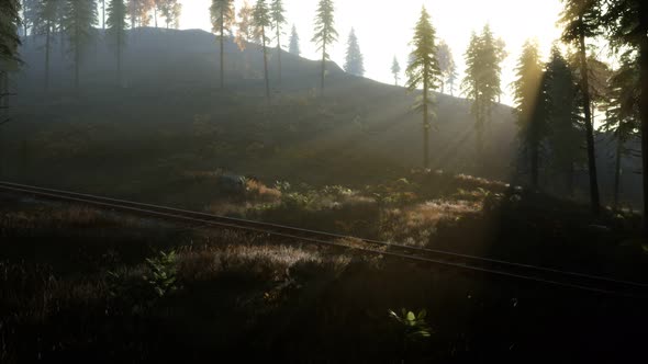 National Forest Recreation Area and the Fog with Railway