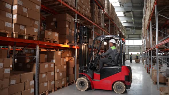 Forklift Truck Moving Pallet of Boxes in Warehouse