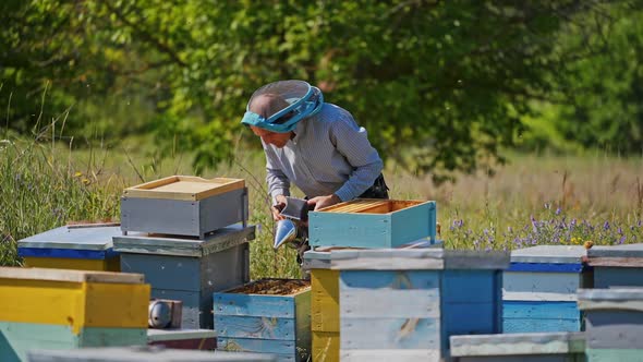 Apiculturist on a bee farm