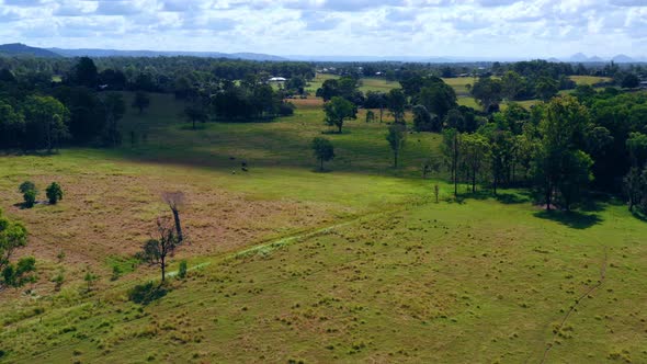 Evergreen Animal Grassland And Panoramic Greenery On A Countryside Nearby Brisbane City, QLD, Austra