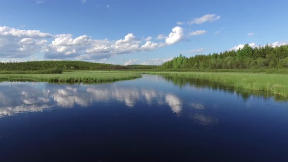 Lake surrounded by vegetation