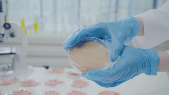 Closeup of Hands in Medical Gloves Showing a Sample of Grown Artificial Meat in a Test Tube