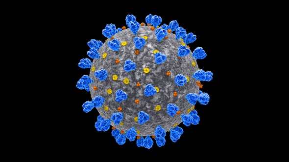 Coronavirus Covid 19 Cell alt