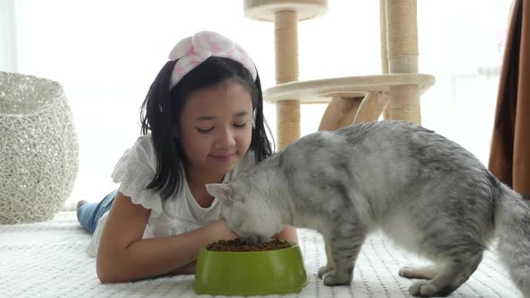 Cute Asian Girl Feeding American Shorthair Cats At Home 