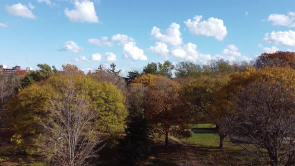 Beautiful wooded park near the big city registered with drone.
