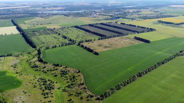 View of a Variety of Agroindustrial Fields with Different Agricultural Plants