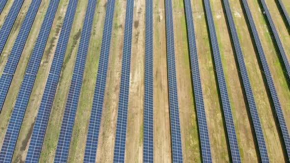 Aerial Top View on Solar Power Station in Green Field on Sunny Day. Solar Farm