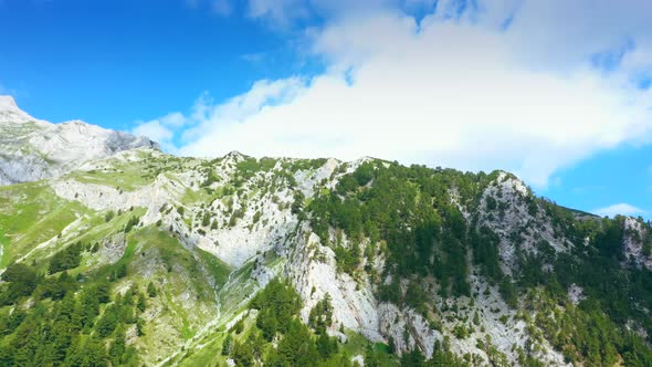 Aerial View Of Foggy Pine Forest And Mountain Valley