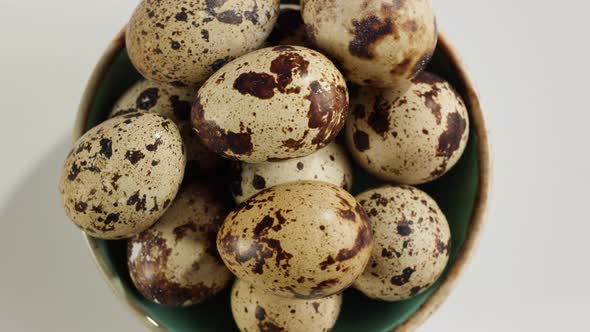 Quail Eggs Isolated on White Background Top View