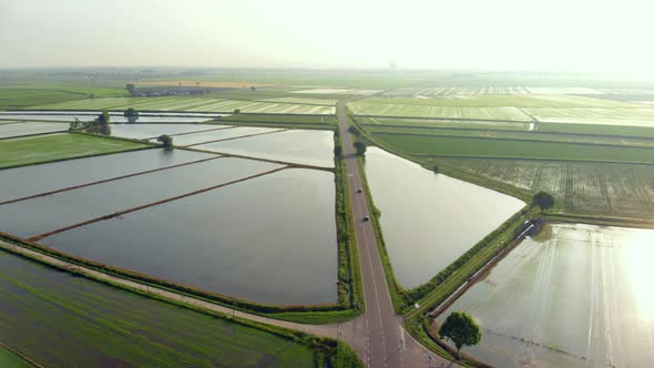 Aerial: Flying Over Rice Paddies, Flooded Cultivated Fields Farmland