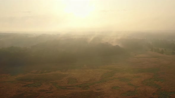 Abstract Nature Background Drone Flying Over Bleak Autumn Trees Into Thick White Fog Mist Sky at