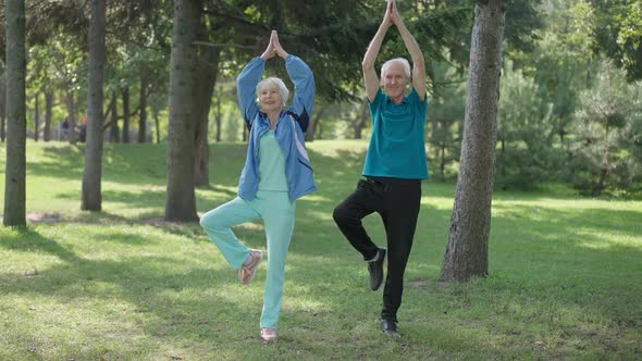 Wide Shot Fit Senior Couple Standing in Tree Pose in Summer Spring Park Outdoors