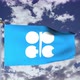 OPEC Flag Waving 4k - VideoHive Item for Sale
